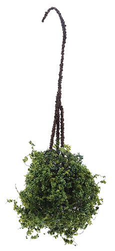 Dollhouse Miniature Hanging Basket: Variegated Green, Small